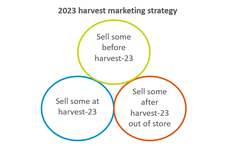 A graph showing different options for marketing grain.